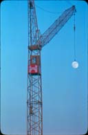 Crane and moon